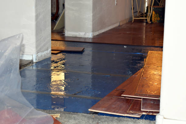 Professional Basement Flood Cleanup technician working in Branchdale, PA